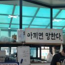 서포싱싱횟집 | 감포횟집 부부수산:: 모둠회 해산물 세트(전복,해삼,멍게,새우) 맛있게 먹은 후기