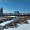 아라페로 네이버블로그