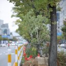 상무대로1-2 이미지