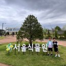 주말교육-네임택 달고 세계로 | 주차장부터 입장권 꿀팁까지! 가족과 함께한 서울식물원 나들이 후기