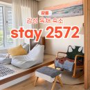 STAY 2572