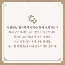 조선메디칼 이미지