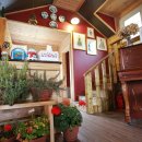 대관령 사파리 목장 이미지