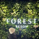 CU제천세명명문점 | 겨울여행, 제천 리솜포레스트 s25 빌라 숙소 정보/헤브나인 스파 후기