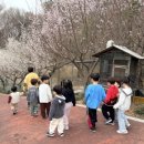 하나린유치원 이미지