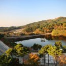 웰리힐리파크 이미지