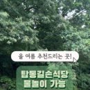 탑동길손 이미지