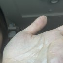스펀지코스메틱 | 미용실헤어에센스추천 블라세아 비베사 헤어에센스 세트, 푸석한 머릿결 홈케어 후기