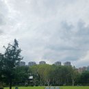 호숫가 | [중국여행] 상하이 모네 호숫가 레스토랑 방문 후기 및 예약방법 (Evo Park.Monet莫奈湖畔餐厅 )