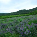 시목농장 이미지