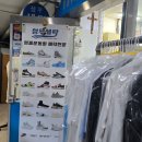 성우수선