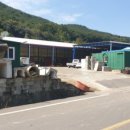 창녕동애등에 네이버블로그