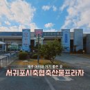 가야시장(축협옆) | 제주도 고기 맛 좋고 저렴한 정육점 찾는다면? 서귀포시축협축산물프라자 서광점 솔직후기