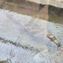 울산 테마식물수목원 동물의 정원 아이랑 방문후기