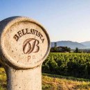 벨라비스타 이미지