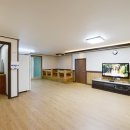 가평금잔디 이미지