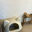 라르고 | 홍대반지공방 무드라르고 후기 💍