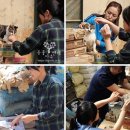 동물자유연대 부속 동물병원 이미지