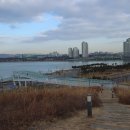 배곧생명공원 이미지