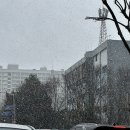 카페로운 | 일산 밤리단길 카페 카피로우 후기
