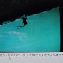 - 21년전 이맘때쯤인 2003년 1월 21(화)~26(일), 용평 및 베어스타운 스킹일지! 이미지