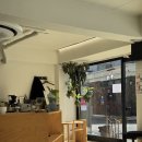 벚꽃길 | 합정 카페 디어코너 후기 | 희우정로 벚꽃길 끝자락 통유리 감성카페