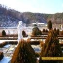 고산자연휴양림 캠핑장 입구 이미지