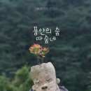 섬진강도깨비마을 이미지