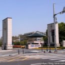 전통중앙도매상가 이미지