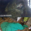 마! 주인 이미지