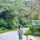 현리동물병원 | 반려견과 함께하는 1박여행! 가평 카라반 솔직후기