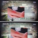 mRNA 백신과 지질 나노입자 이미지