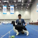 네발로 코리아 이미지