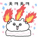 아침햇살스테이 이미지