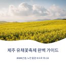 중문동-29 | 제주 유채꽃축제 일정 &amp; 꿀팁 총정리, 꼭 가봐야 할 명소는?