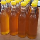 성남대로 1139번길 이미지