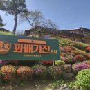 꽈배기진 - 전주시 완산구 모악로 4690 | 꽈배기진