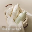 홈세탁 이미지
