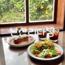 결성농장 | 제주 가볼만한곳 귤나무 뷰 성산 브런치 카페 난산리다방