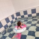 보니스테이 이미지