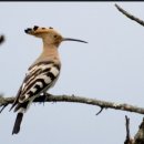 성주당구장 이미지