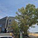 리얼숏게임-어프로치 이미지