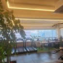 세로GYM 네이버블로그