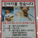 뉴월드마트로주 이미지