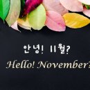 노벰버디자인 이미지