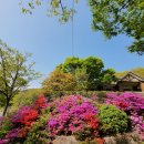 비슬산휴양림관리사무소 이미지