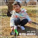 더불어숲생태학교 이미지