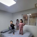 누하278