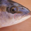 상모리-11 이미지