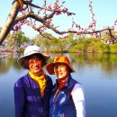 남산반곡지 이미지